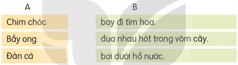 Tên bài con + Tiếng Việt lớp 3 Tập 1 - Kết nối tri thức (ảnh 3)