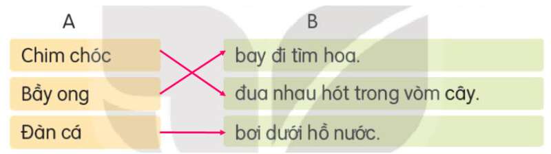 Tên bài con + Tiếng Việt lớp 3 Tập 1 - Kết nối tri thức (ảnh 4)