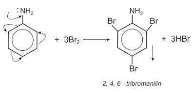 C6H5NH2 + Br2 → C6H2Br3NH2 + HBr (ảnh 2)