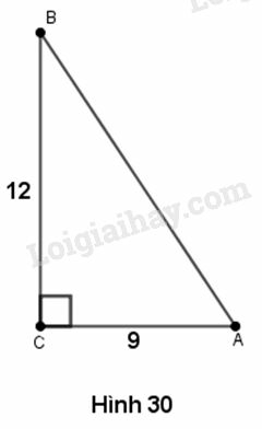 VBT Toán lớp 9 Bài 2: Tỉ số lượng giác của góc nhọn | Giải VBT Toán lớp 9 (ảnh 2)