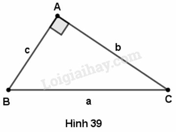 VBT Toán lớp 9 Bài 4: Một số hệ thức về cạnh và góc trong tam giác vuông| Giải VBT Toán lớp 9 (ảnh 1)