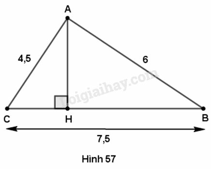 VBT Toán lớp 9 Ôn tập chương 1 - Hệ thức lượng trong tam giác vuông| Giải VBT Toán lớp 9 (ảnh 6)