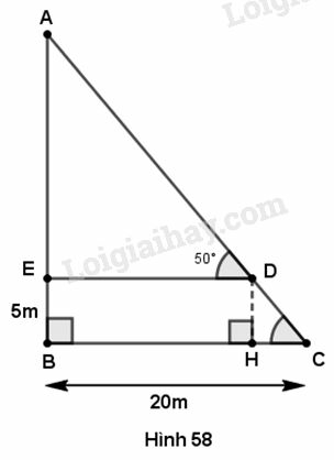 VBT Toán lớp 9 Ôn tập chương 1 - Hệ thức lượng trong tam giác vuông| Giải VBT Toán lớp 9 (ảnh 7)
