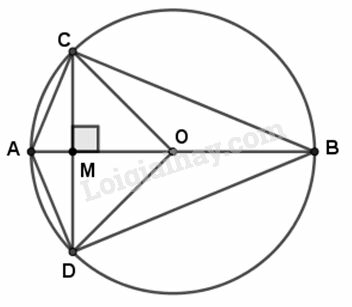 VBT Toán lớp 9 Bài 2. Đường kính và dây của đường tròn| Giải VBT Toán lớp 9 (ảnh 1)