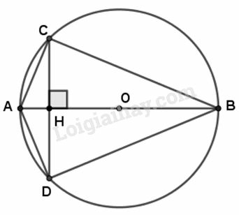 VBT Toán lớp 9 Bài 2. Đường kính và dây của đường tròn| Giải VBT Toán lớp 9 (ảnh 6)