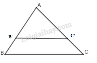 VBT Toán 8 Bài 4: Khái niệm hai tam giác đồng dạng. (ảnh 4)