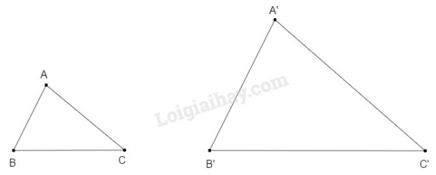 VBT Toán 8 Bài 5: Trường hợp đồng dạng thứ nhất (c.c.c) (ảnh 3)