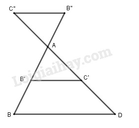 VBT Toán 8 Bài 4: Khái niệm hai tam giác đồng dạng. (ảnh 1)