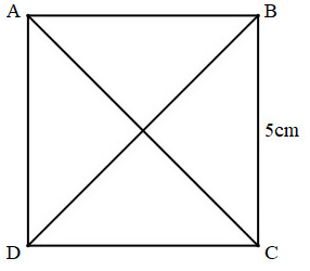 VBT Toán 4 Bài 46: Thực hành vẽ hình vuông (ảnh 5)