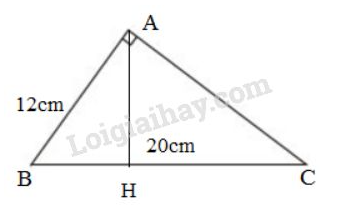 VBT Toán 8 Bài 8: Các trường hợp đồng dạng của tam giác vuông (ảnh 5)