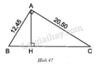VBT Toán 8 Bài 8: Các trường hợp đồng dạng của tam giác vuông (ảnh 7)