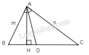 VBT Toán 8 Bài 3: Tính chất đường phân giác của tam giác. (ảnh 3)