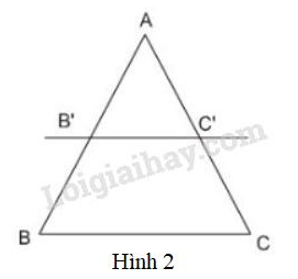 VBT Toán 8 Bài 1: Định lí Ta – lét trong tam giác. (ảnh 1)