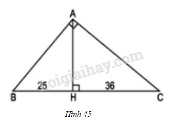 VBT Toán 8 Bài 8: Các trường hợp đồng dạng của tam giác vuông (ảnh 4)