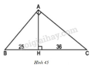 VBT Toán 8 Bài 8: Các trường hợp đồng dạng của tam giác vuông (ảnh 6)