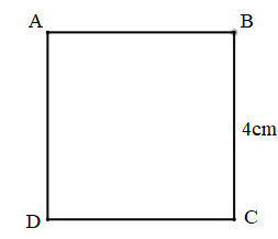 VBT Toán 4 Bài 46: Thực hành vẽ hình vuông (ảnh 1)