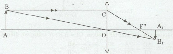 VBT Vật lí lớp 9 Bài 48: Mắt | Giải VBT Vật lí lớp 9  (ảnh 3)