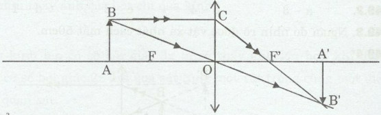 VBT Vật lí lớp 9 Bài 48: Mắt | Giải VBT Vật lí lớp 9  (ảnh 2)