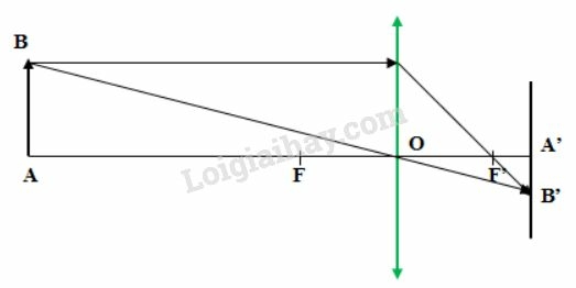 VBT Vật lí lớp 9 Bài 48: Mắt | Giải VBT Vật lí lớp 9  (ảnh 1)