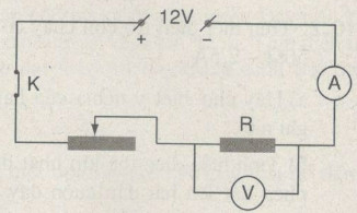 Vở bài tập Vật lí lớp 9 Bài 10: Biến trở - Điện trở dùng trong kĩ thuật | Giải VBT Vật lí lớp 9  (ảnh 5)