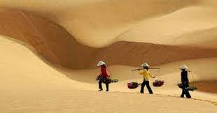 Top 50 bài Phân tích bài thơ Bài ca ngắn đi trên bãi cát của Cao Bá Quát hay nhất (ảnh 2)