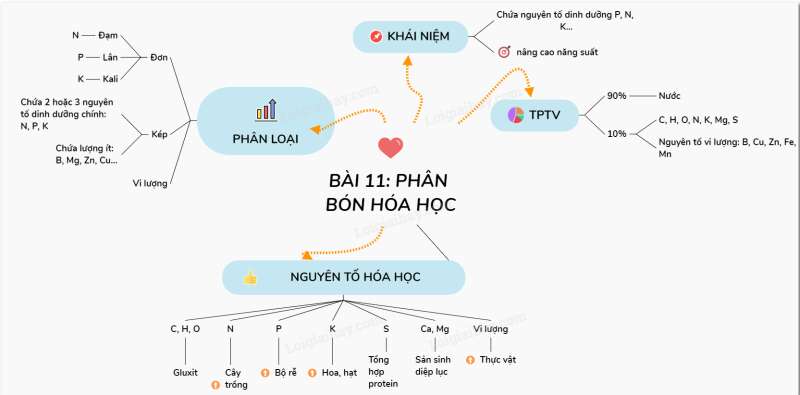 Hóa học lớp 9 Bài 11: Phân bón hóa  | Giải Hóa học 9 (ảnh 4)