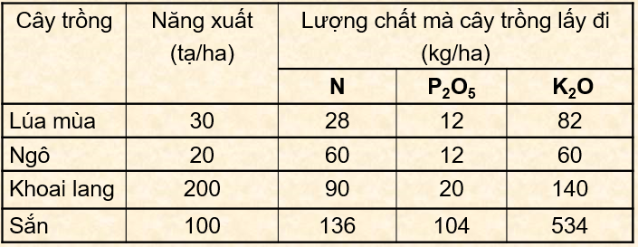 Hóa học lớp 9 Bài 11: Phân bón hóa  | Giải Hóa học 9 (ảnh 2)