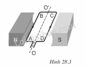 Vật lí lớp 9 Bài 28: Động cơ điện một chiều | Giải Vật lí 9 (ảnh 5)