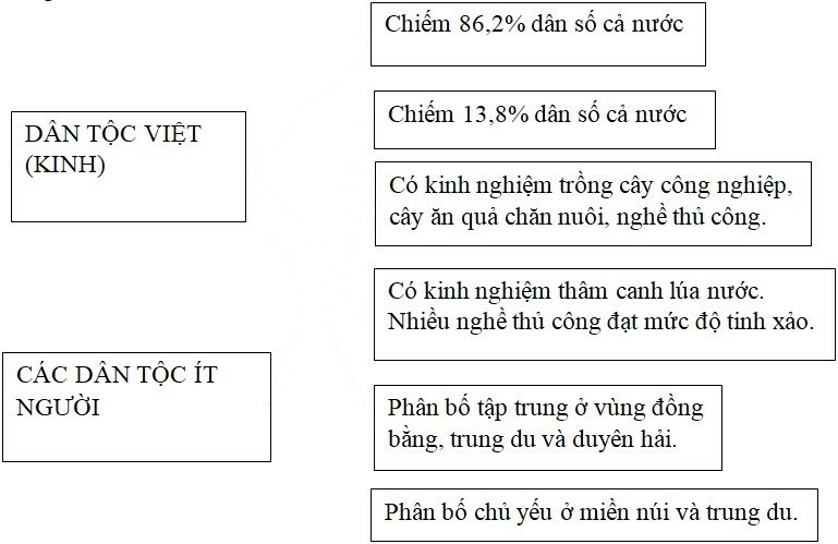 SBT Địa lí 9 Bài 1. Cộng đồng các dân tộc Việt Nam | Giải SBT Địa lí lớp 9 (ảnh 1)