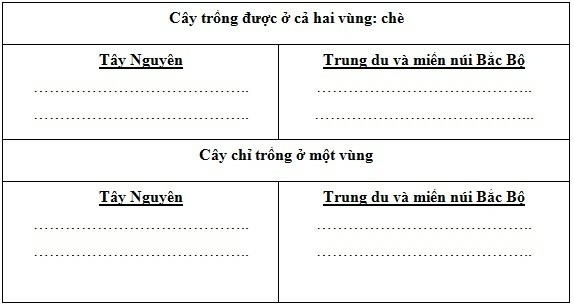 SBT Địa lí 9 Bài 30: Thực hành: So sánh tình hình sản xuất cây công nghiệp lâu năm ở Trung du và miền núi Bắc Bộ với Tây Nguyên | Giải SBT Địa lí lớp 9 (ảnh 1)