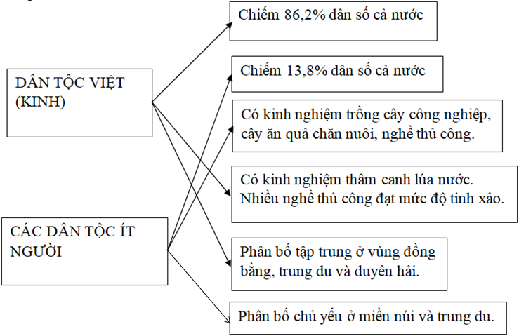 SBT Địa lí 9 Bài 1. Cộng đồng các dân tộc Việt Nam | Giải SBT Địa lí lớp 9 (ảnh 2)