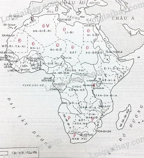 SBT Lịch sử 9 Bài 6: Các nước châu Phi | Giải SBT Lịch sử lớp 9 (ảnh 2)