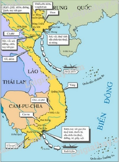SBT Lịch sử 9 Bài 14: Việt Nam sau Chiến tranh thế giới thứ nhất | Giải SBT Lịch sử lớp 9 (ảnh 2)