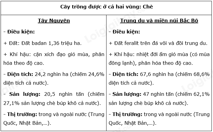 SBT Địa lí 9 Bài 30: Thực hành: So sánh tình hình sản xuất cây công nghiệp lâu năm ở Trung du và miền núi Bắc Bộ với Tây Nguyên | Giải SBT Địa lí lớp 9 (ảnh 5)