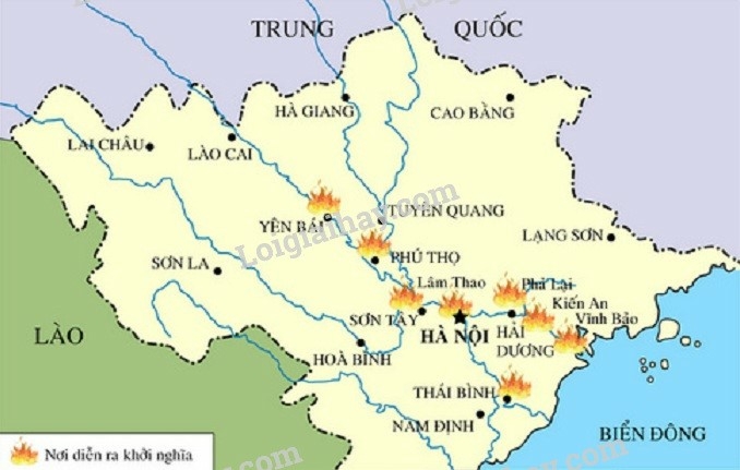 SBT Lịch sử 9 Bài 17: Cách mạng Việt Nam trước khi Đảng Cộng sản ra đời | Giải SBT Lịch sử lớp 9 (ảnh 6)