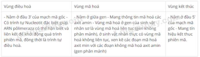 Sinh học 12 Bài 1: Gen, mã di truyền và quá trình nhân đôi ADN | Giải Sinh lớp 12 (ảnh 1)