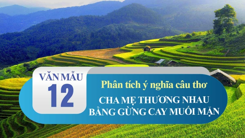 Top 50 Bài Phân tích câu thơ Cha mẹ thương nhau nhau bằng gừng cay muối mặn (ảnh 1)