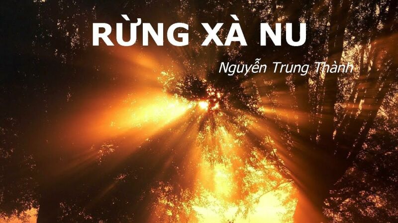 Top 50 Bài Phân tích truyện ngắn Rừng xà nu của Nguyễn Trung Thành (ảnh 2)