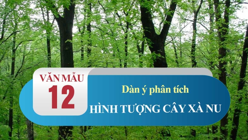 Top 50 Bài Phân tích hình tượng cây xà nu trong truyện ngắn Rừng xà nu của Nguyễn Trung Thành (ảnh 1)