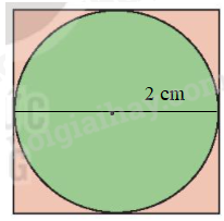 Toán lớp 3 trang 65 Luyện tập | Kết nối tri thức (ảnh 2)