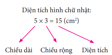 Giáo án Toán lớp 3 (Chân trời sáng tạo 2023): Diện tích hình chữ nhật (ảnh 1)