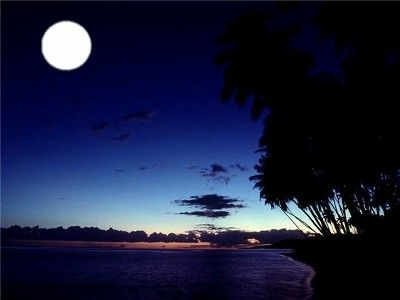 Top 50 bài Phân tích hình ảnh ánh trăng trong bài thơ Ánh trăng (ảnh 2)