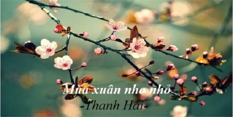 Top 50 bài Phân tích bài thơ Mùa xuân nho nhỏ của Thanh Hải (ảnh 4)