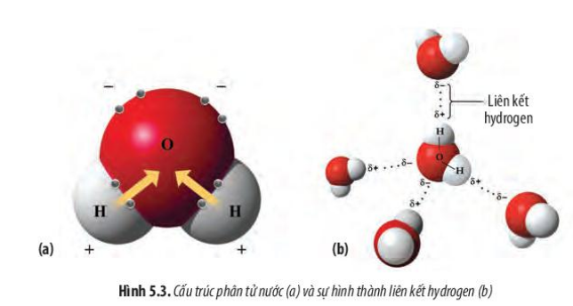  (ảnh 1)