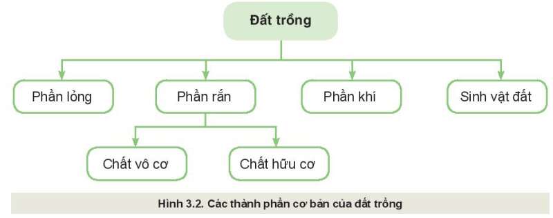 Câu hỏi trang 20 Công nghệ 10 Kết nối tri thức (ảnh 1)