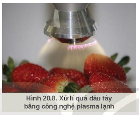 Công nghệ 10 Bài 20: Công nghệ cao trong thu hoạch và bảo quản sản phẩm trồng trọt| Kết nối tri thức (ảnh 1)