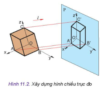 Công nghệ 10 Bài 11: Hình chiếu trục đo | Kết nối tri thức (ảnh 1)