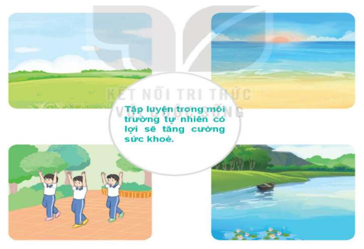 Giáo dục thể chất lớp 3 trang 6, 7 Yếu tố môi trường tự nhiên có hại  - Kết nối tri thức (ảnh 4)