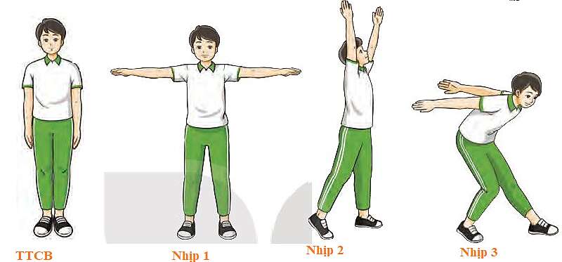 Em hãy sử dụng bài tập thể dục liên hoàn từ nhịp 1 – 10 để tập thể dục buổi sáng (ảnh 1)