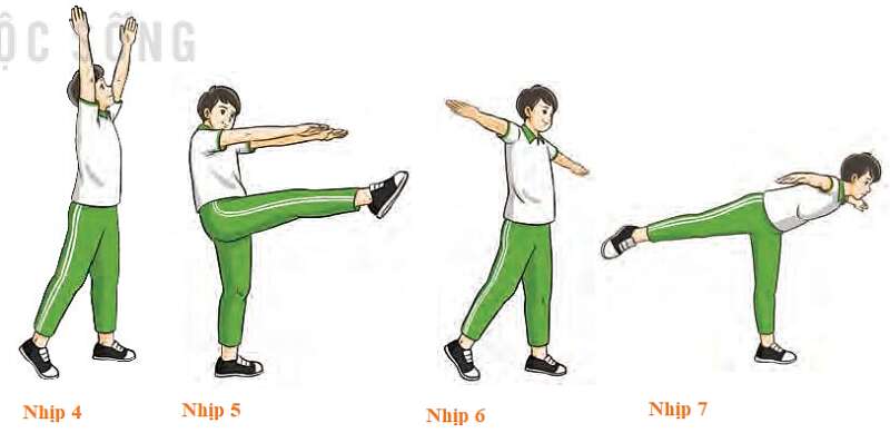 Em hãy sử dụng bài tập thể dục liên hoàn từ nhịp 1 – 10 để tập thể dục buổi sáng (ảnh 2)